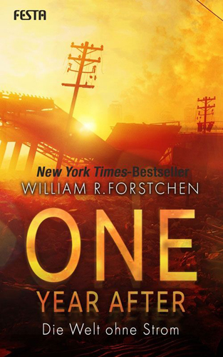 One Year After (William R. Forstchen / Festa Verlag)